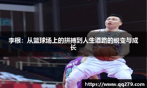 BB视讯登录